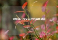 介绍自己作文500字的写作启示