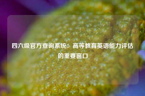 四六级官方查询系统:高等教育英语能力评估的重要窗口