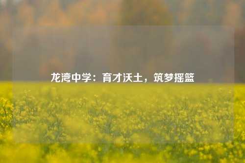 龙湾中学：育才沃土，筑梦摇篮