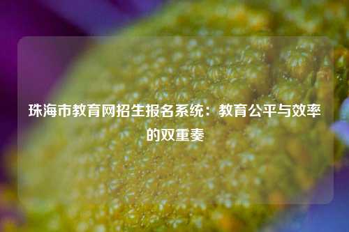 珠海市教育网招生报名系统：教育公平与效率的双重奏