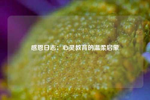 感恩日志:心灵教育的温柔启蒙