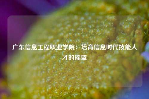 广东信息工程职业学院：培育信息时代技能人才的摇篮