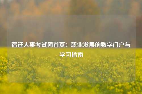 宿迁人事考试网首页：职业发展的数字门户与学习指南