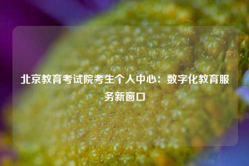 北京教育考试院考生个人中心：数字化教育服务新窗口